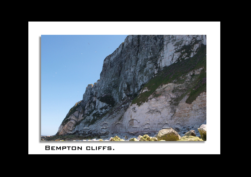 Bempton Cliff at low tide