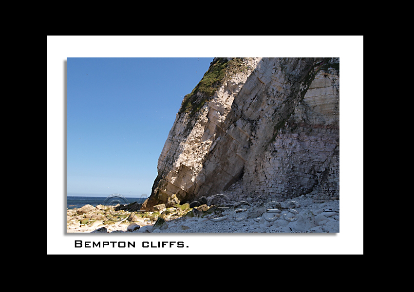 Chalk cliffs at Bempton