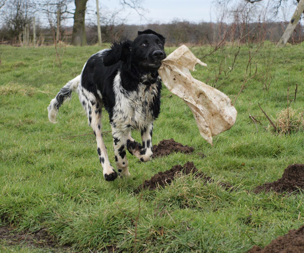 A bag from the river is always great fun.