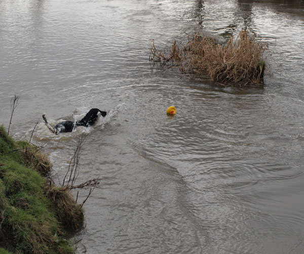 The bugger chucked me duck back in.