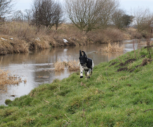 Even just running along the banks is fun.