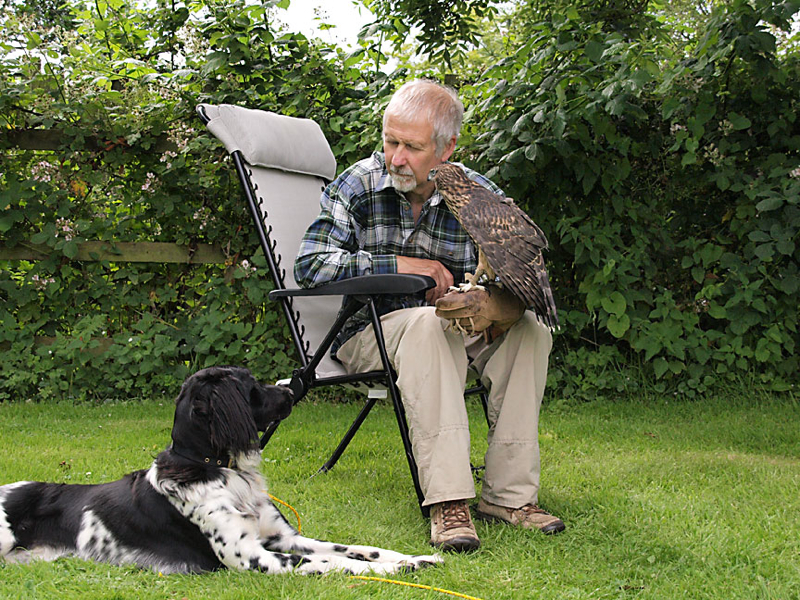 Gracie takes interest