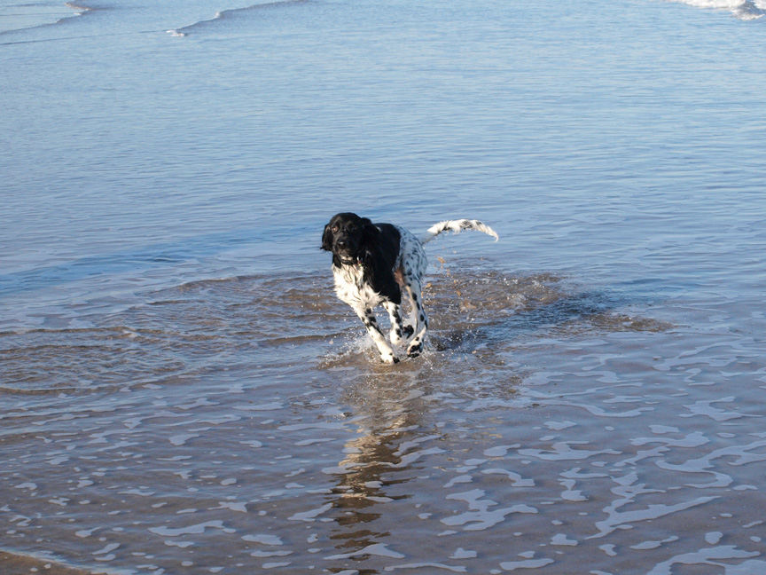 Fun at the Beach at Reighton sands