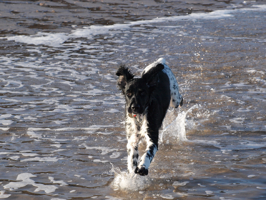She showed no signs of any fear of water.