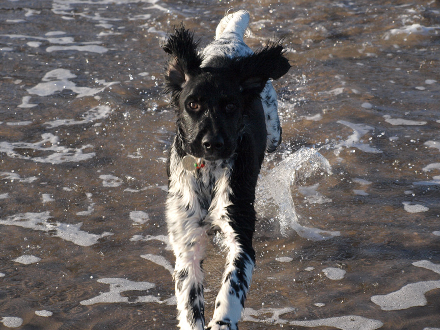 In fact, like all Munsterlanders she loves water.