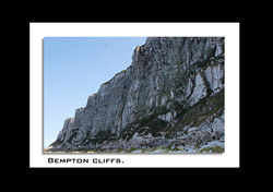 Bempton Cliffs